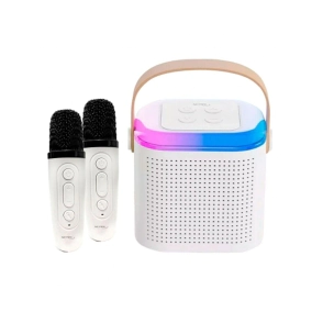 MINI KARAOKE NETMAK + 2 MICROFONOS INALAMBRICOS NM-MOLLY