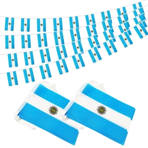 GUIRNALDA BANDERA ARGENTINA X20 DE 14X20.5CM